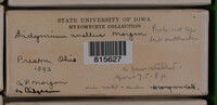 Image Associated With the Occurence